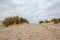 Australia sand dunes into the bush