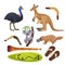 Australia symbols isolated. Koala, kangaroo, surfboard, boomerang, ostrich, platypus, didgeridoo