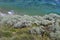 Australia, VIC, Great Ocean Road, Vegetation