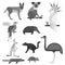 Australia wild animals cartoon popular nature characters flat style black white and australian mammal aussie native