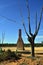 Australia, Zanci Homestead in Mungo National Park