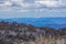 Australian Alps and Native Bush at Mount Buffalo National Park