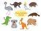 Australian animals isolated on white. Set of funny cartoon vector animals in flat style.