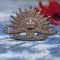 Australian army rising sun badge on textured blue with a poppy