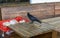 Australian black raven standing on wooden table near big red container with bread