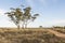 Australian Bush Landscape