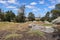 Australian bush landscape in You Yangs National Park with lush trees on a sunny day