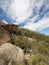 Australian bush in Tasmania, Australia