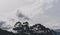 Australian bush view with eucalyptus gum trees and moody stormy clouds