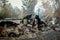 Australian bushfire aftermath: Burnt building and car carcass