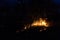 australian bushfire at Night next to a tree in the nothern territory