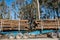 Australian bushfires aftermath: a truck with burned pines logs from the famous Bogo Forest Sugar Pines Walk