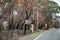 Australian bushfires: burnt road sign