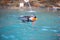 Australian Cattle Dog Blue Heeler swimming in a pool