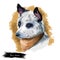 Australian Cattle Dog, Cattle Dog, Blue Heeler dog digital art illustration isolated on white background. Australian origin