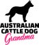 Australian Cattle Dog Grandma with silhouette