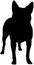 Australian Cattle Dog silhouette