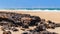 Australian coast with dark volcanic rocks on a wide sandy beach, sunny summer day