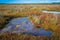 Australian coastal wetlands landscape.