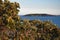Australian Coastline Muttonbird Island