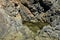 Australian Coastline natural rock pool