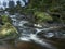 Australian Cool Temperate Rainforest Base of water fall - Nelson Falls