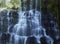 Australian Cool Temperate Rainforest Base of water fall - Nelson Falls