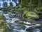 Australian Cool Temperate Rainforest Base of water fall - Nelson Falls