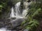 Australian Cool Temperate Rainforest water fall - Hogarth Falls