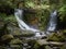 Australian Cool Temperate Rainforest water fall - Horseshoe