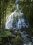 Australian Cool Temperate Rainforest water fall - Nelson Falls