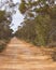 Australian Country Bush Track.