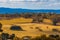 Australian countryside - yellow grass pastures and native trees.