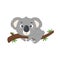 Australian cute koala on a eucalyptus branch. . Vector illustration for designs, prints and patterns.