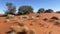 Australian desert near Uluru