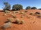 Australian desert near Uluru