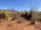 Australian desert near Uluru