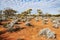 The Australian desert, the outback