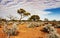 The Australian desert, the outback