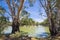 Australian Eucalyptus Gum trees on banks of river with horseshoe bend under blue sky, Murray River, Victoria, Australia 2