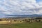 Australian farm landscape scene