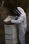 Australian farmer tending his bee hives