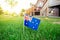 Australian flag standing on green grass in front of a house. Australia day national holiday celebration. Real estate property for