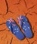 Australian Flag Thongs Icon