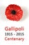 Australian Gallipoli Centenary, WWI, April 1915, tribute with red poppy lapel pin badge