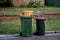 Australian garbage wheelie bins with colourful lids for general and recycling household waste on the street kerbside for council