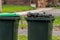 Australian garbage wheelie bins with green lids filled with green waste
