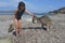 Australian girl playing with Kangaroos in Lucky Bay Western Australia