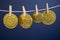 Australian Gold Coins Hanging On Line