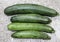 Australian Green Summer squash